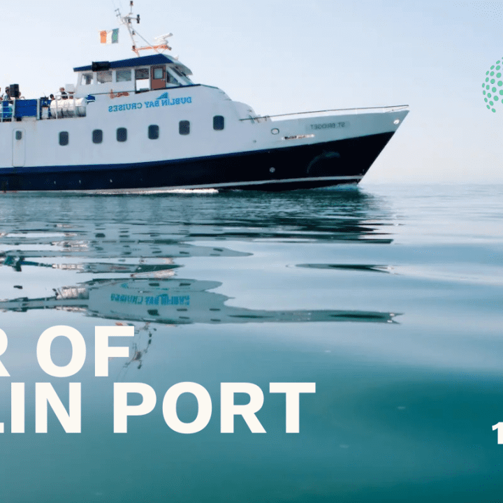 IEA Tour of Dublin Port