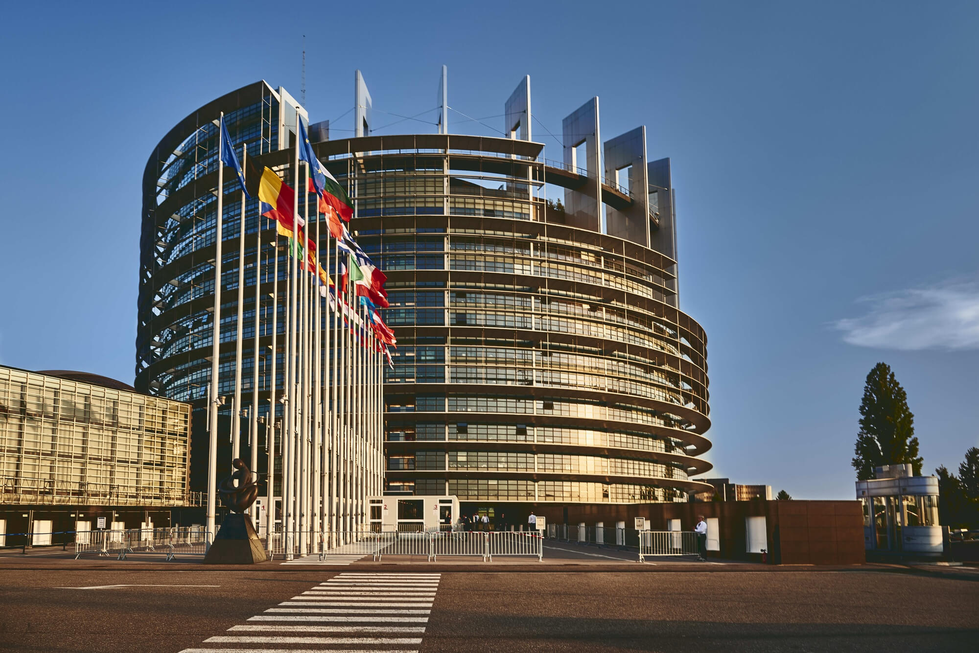 The European Parliament building in Strasbourg, featuring its iconic circular glass facade and a row of international flags in the foreground.