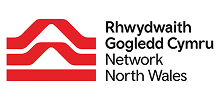 rhwydwaith network logo
